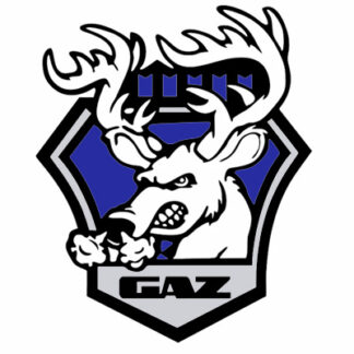 GAZ